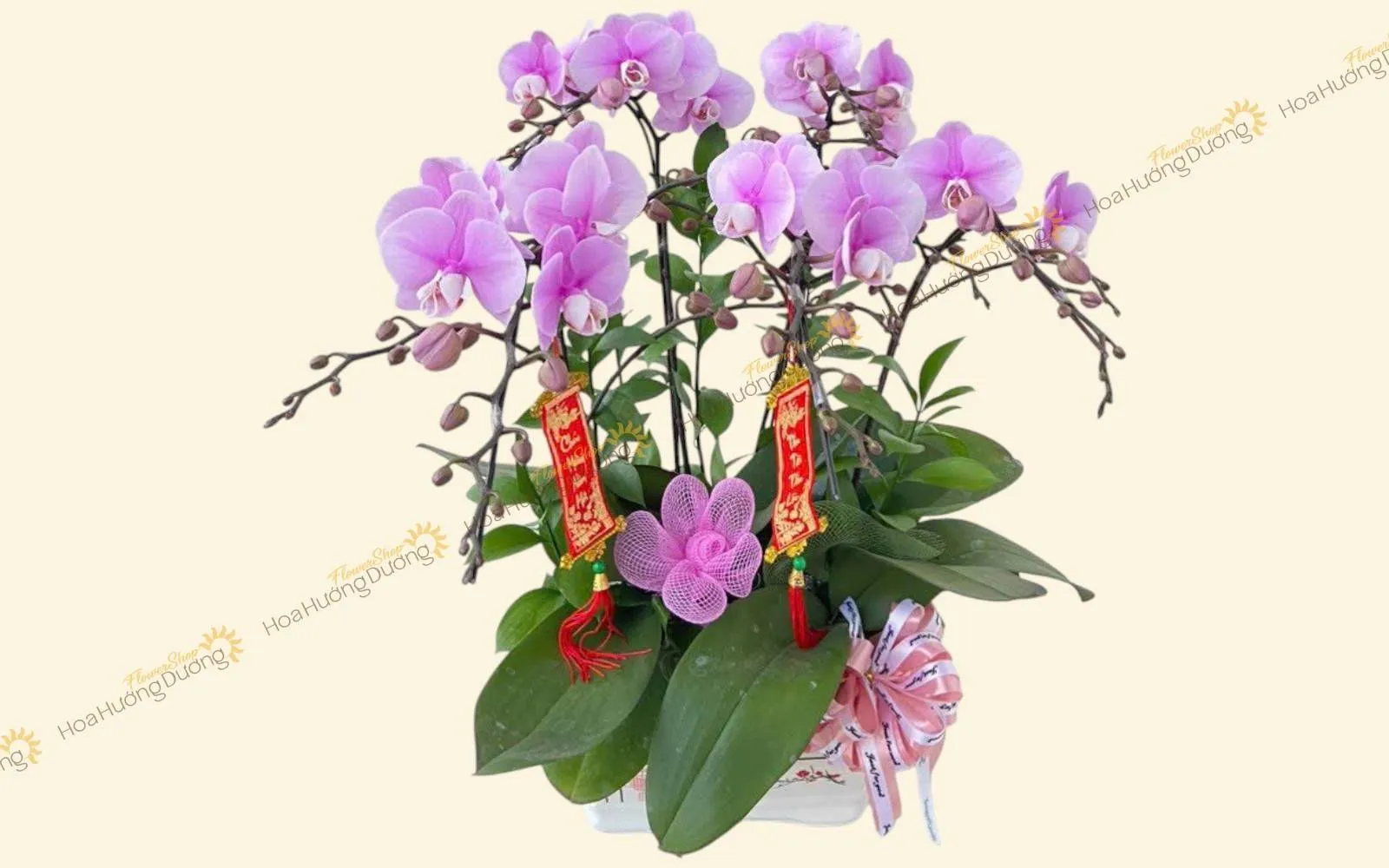 Mẫu Lan Hồ Điệp tặng khai trương