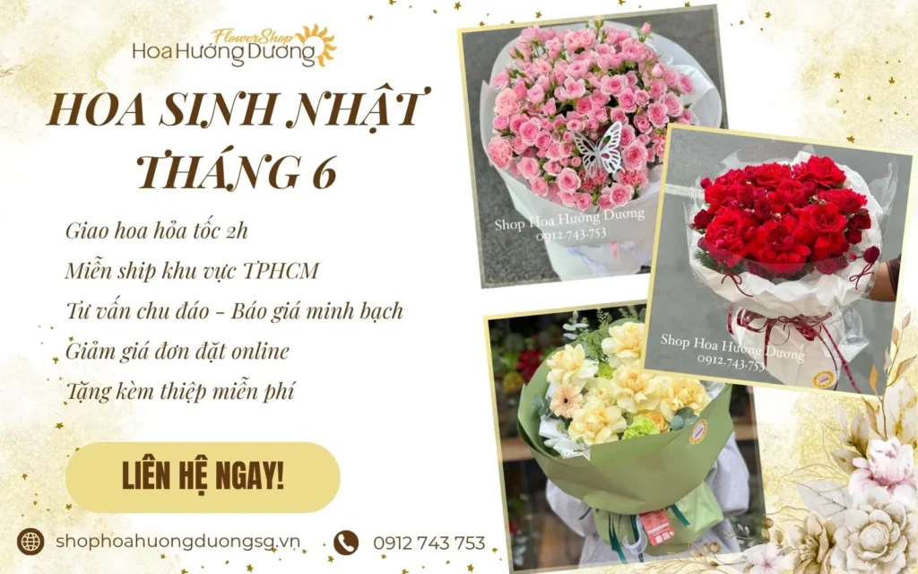 Mua hoa sinh nhật tháng 6 giá tốt tại Shop hoa hướng dương
