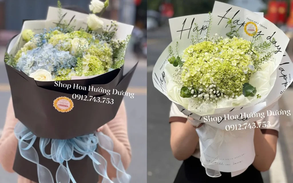 Hoa cẩm tú cầu