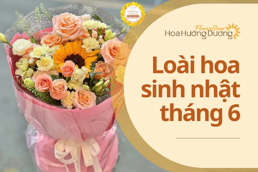 Top loài hoa sinh nhật tháng 6