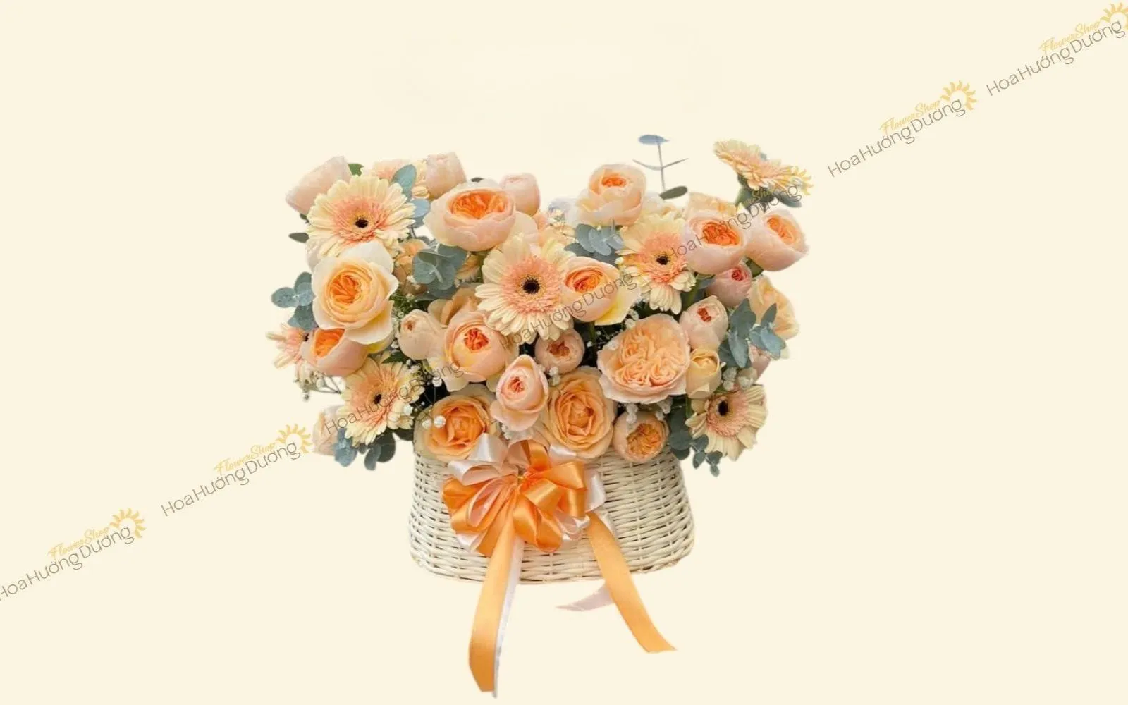 Hoa đồng tiền tặng doanh nghiệp