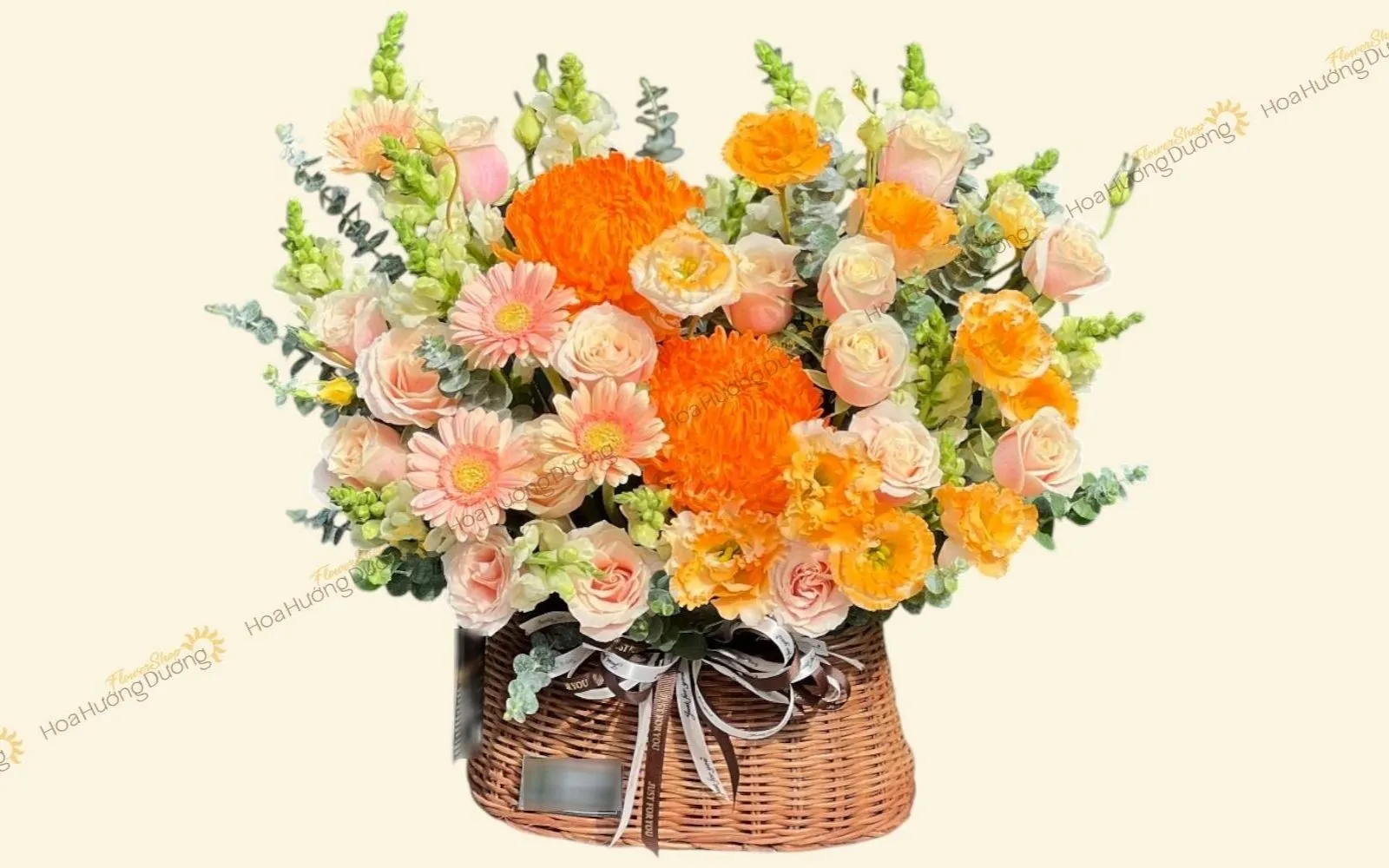 Hoa đồng tiền mang ý nghĩa tài lộc