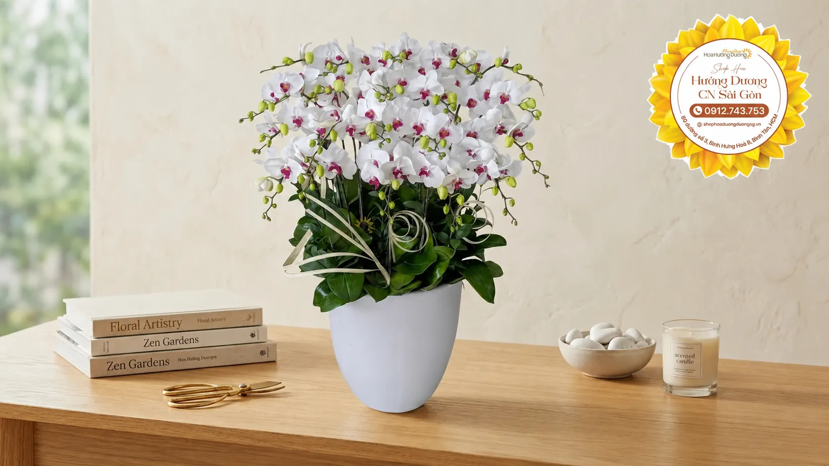 Ý Nghĩa Hoa Lan Trắng Trong Tình Yêu, Phong Thủy Và Cuộc Sống