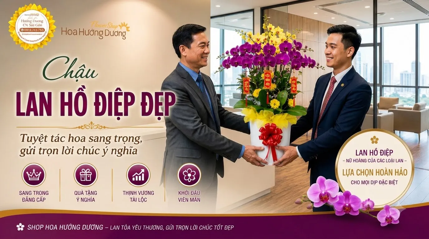 Chậu Lan Hồ Điệp Đẹp – Tuyệt Tác Hoa Sang Trọng, Gửi Trọn Lời Chúc Ý Nghĩa